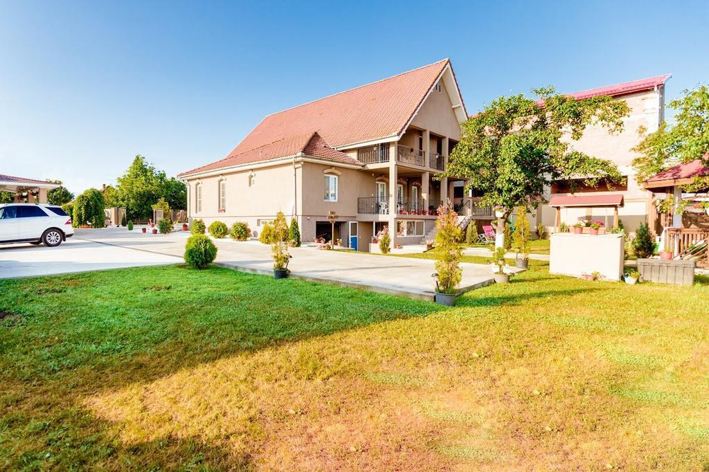 Casa Iulia Haţeg Exterior foto